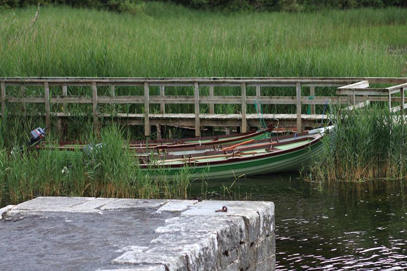 271-Lago Corrib,Ashford Castle (Contea di Galway),17 agosto 2010.JPG